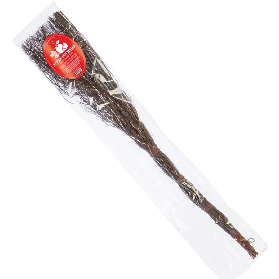 D Cor & Pillows * | Apple Orchard Scented Brooms, 3 Shop